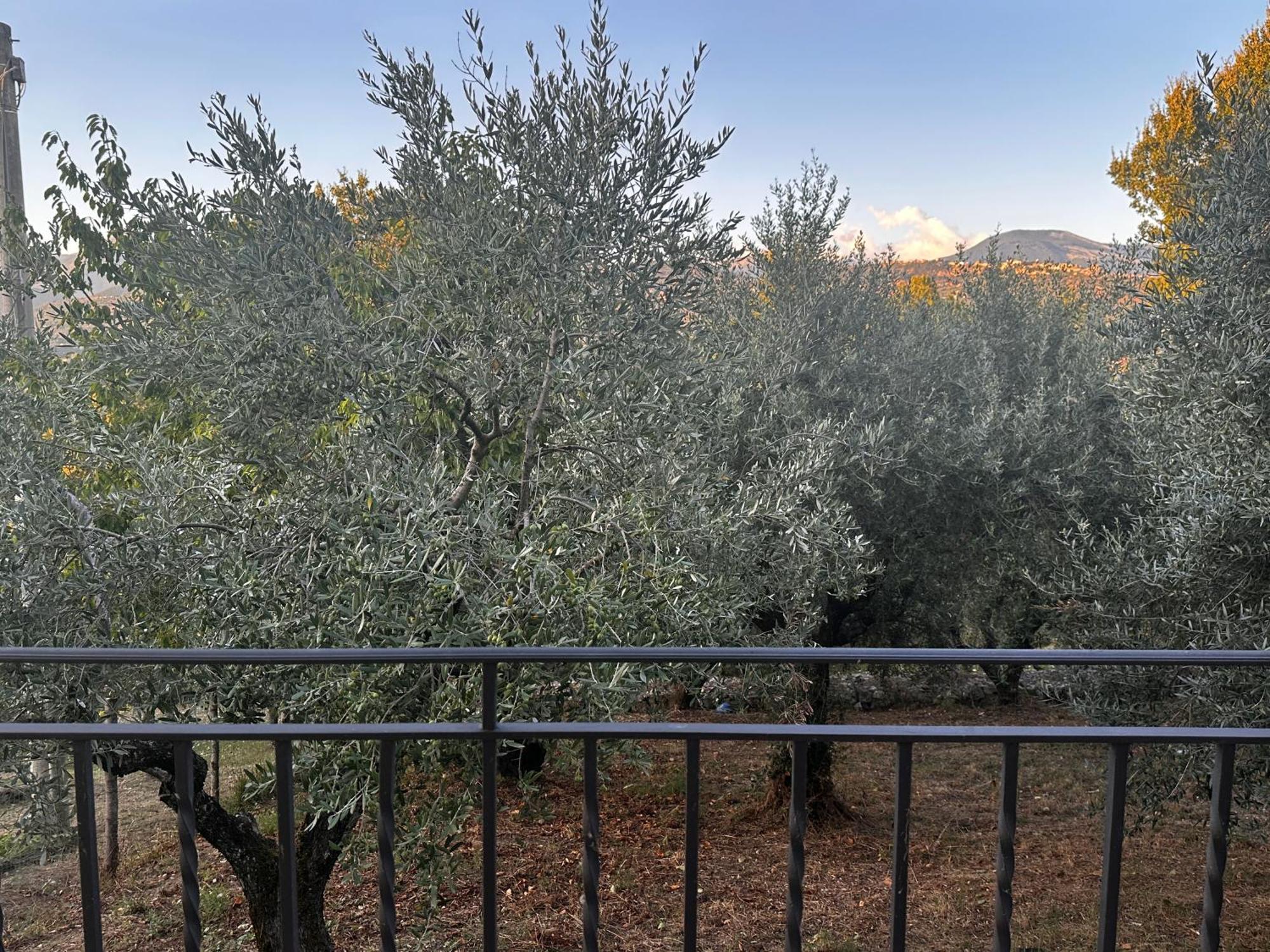 La Casa In Collina Apartment Veroli Luaran gambar